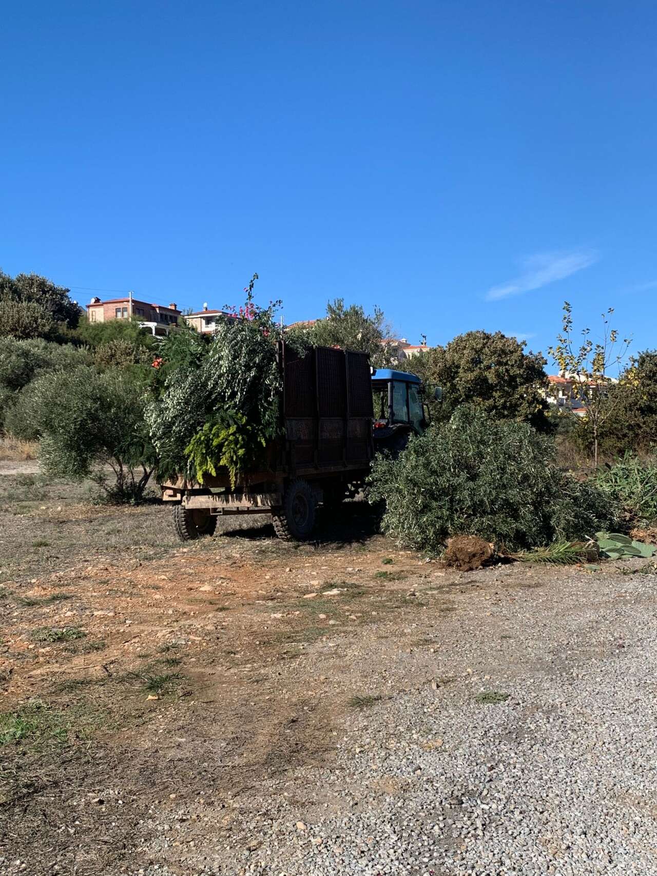 whatsapp-image-2025-12-02-at-16-41-52