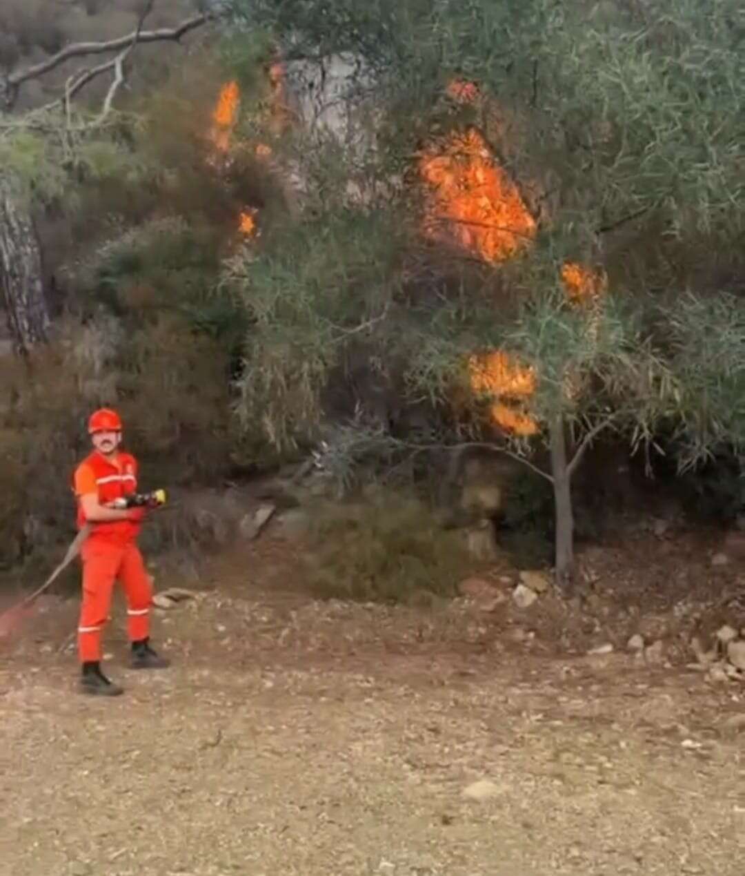 whatsapp-image-2025-12-03-at-17-00-08