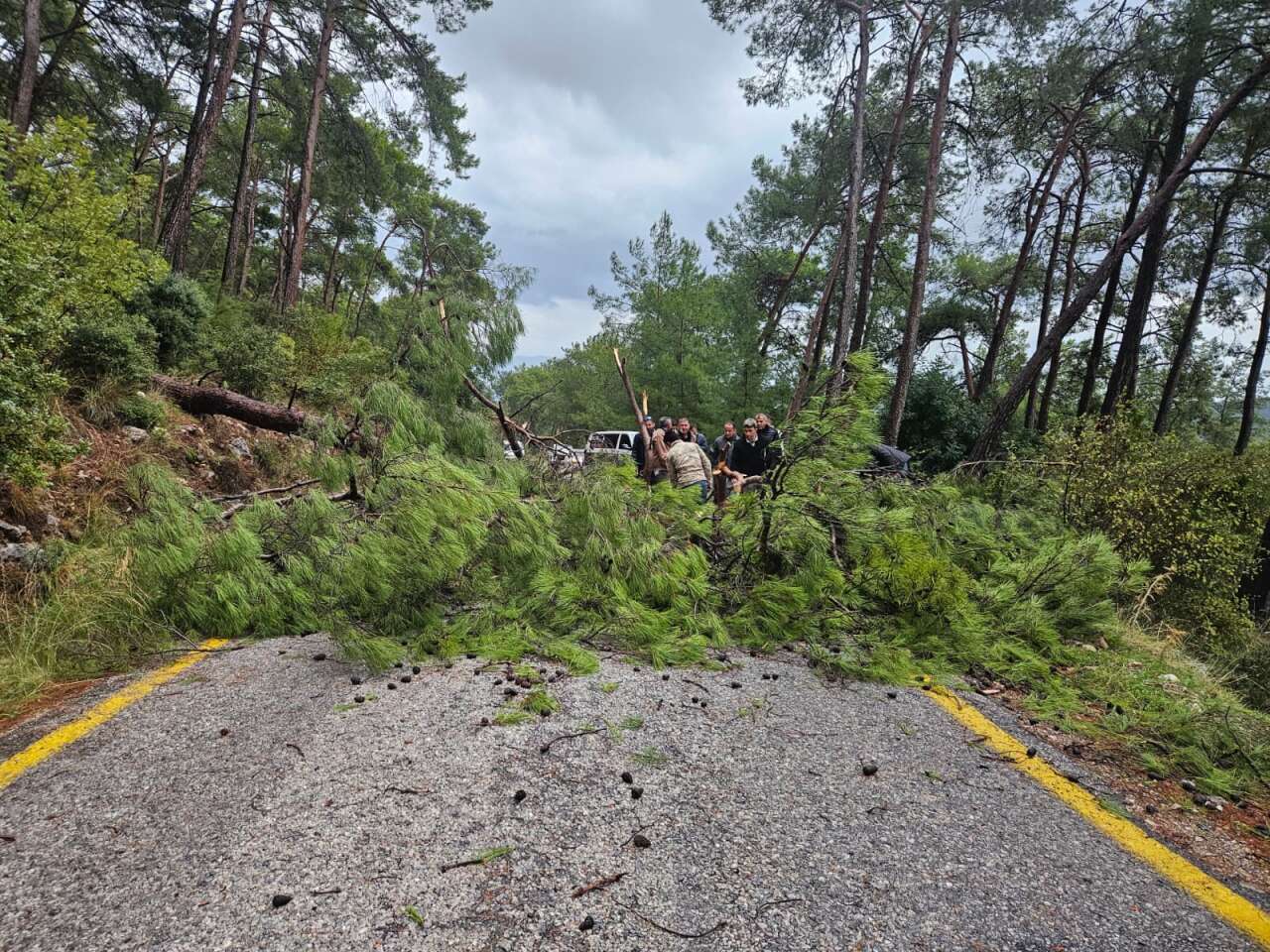 whatsapp-image-2025-12-05-at-11-59-20