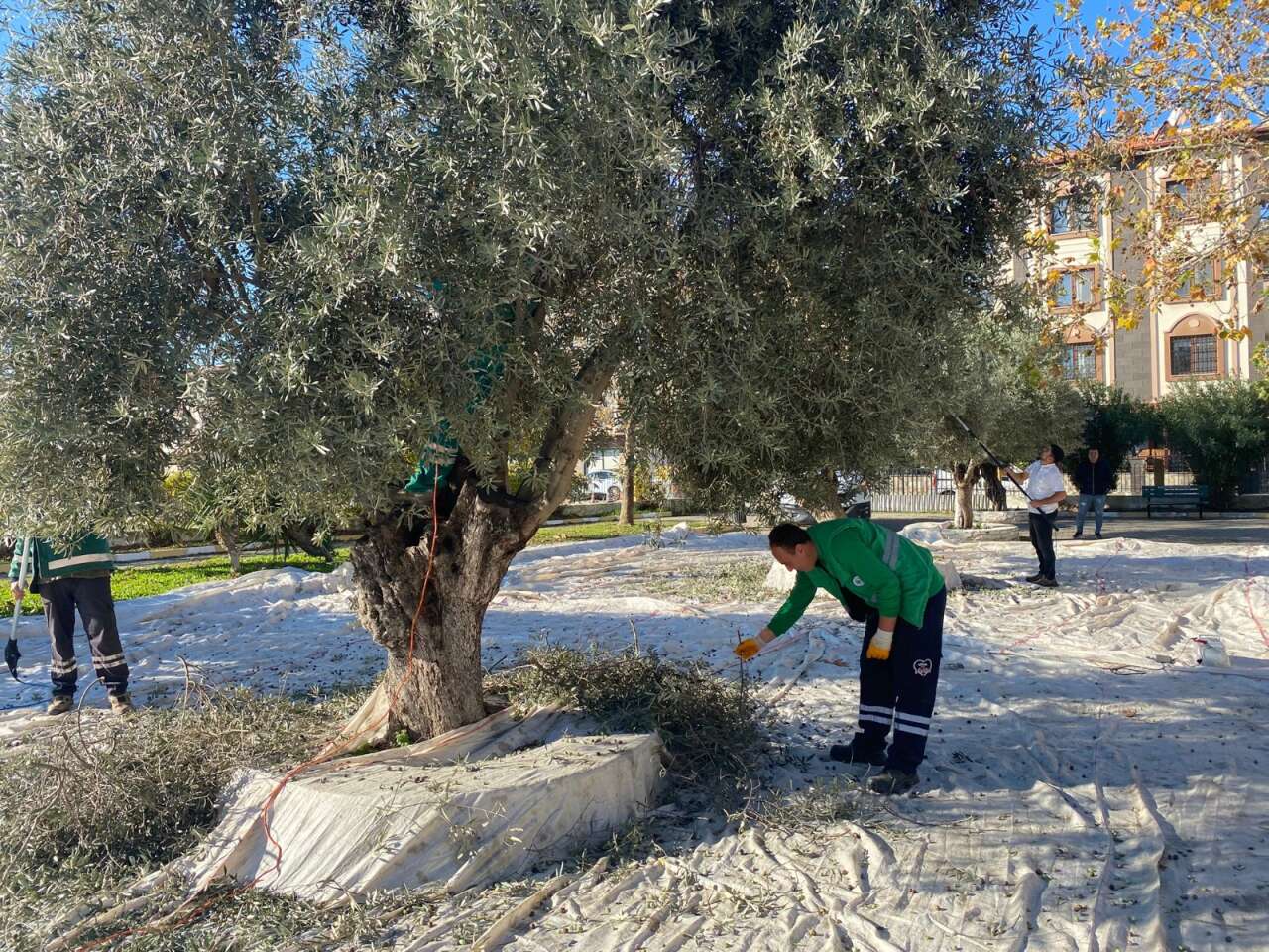 whatsapp-image-2025-12-10-at-11-42-41-1