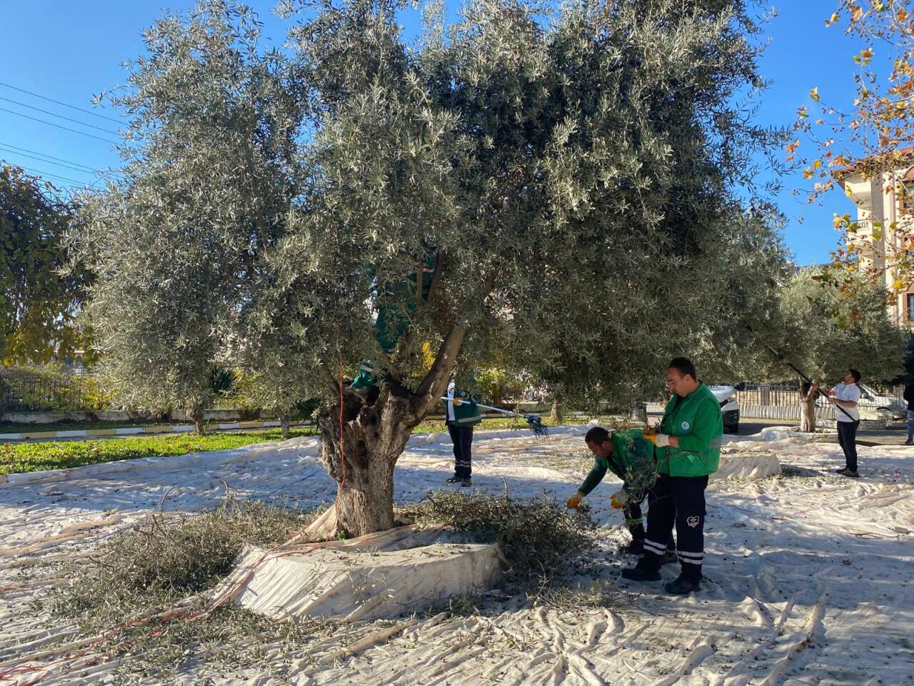 whatsapp-image-2025-12-10-at-11-42-41-2