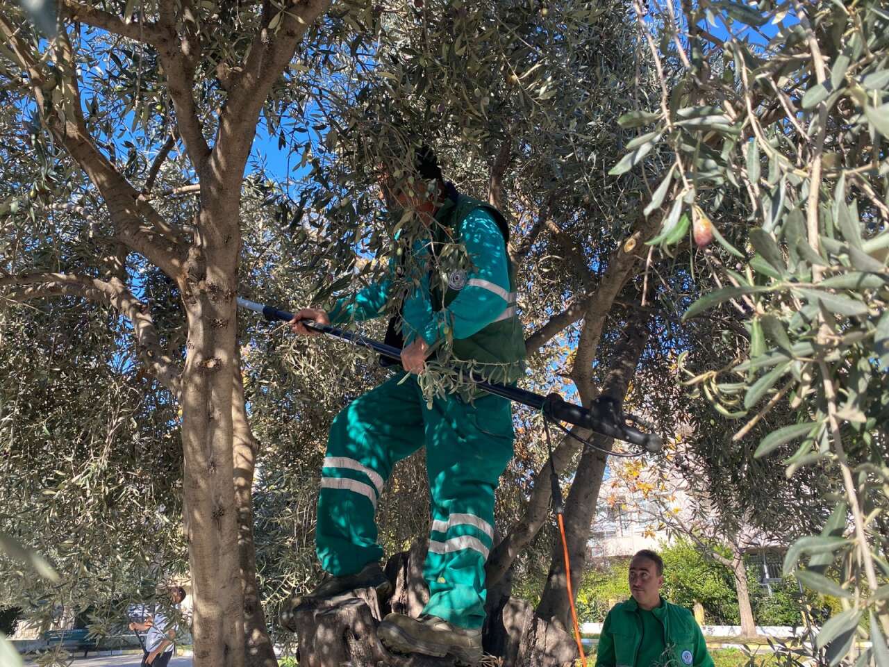 whatsapp-image-2025-12-10-at-11-42-41