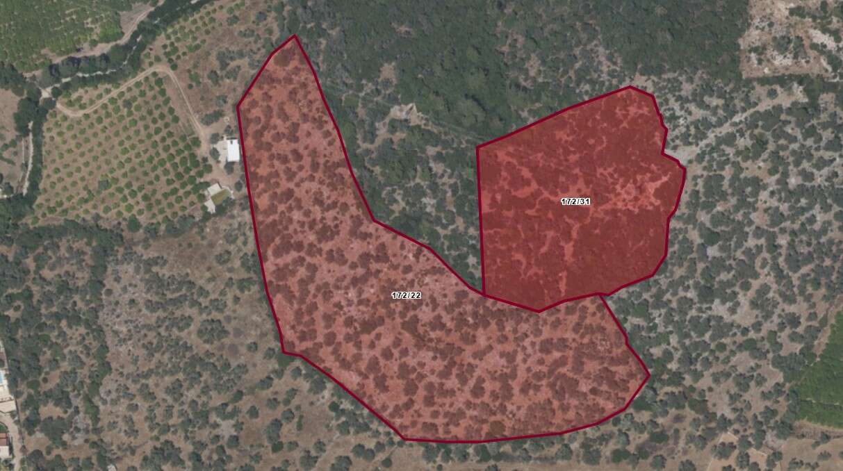 whatsapp-image-2025-12-12-at-15-59-48-1