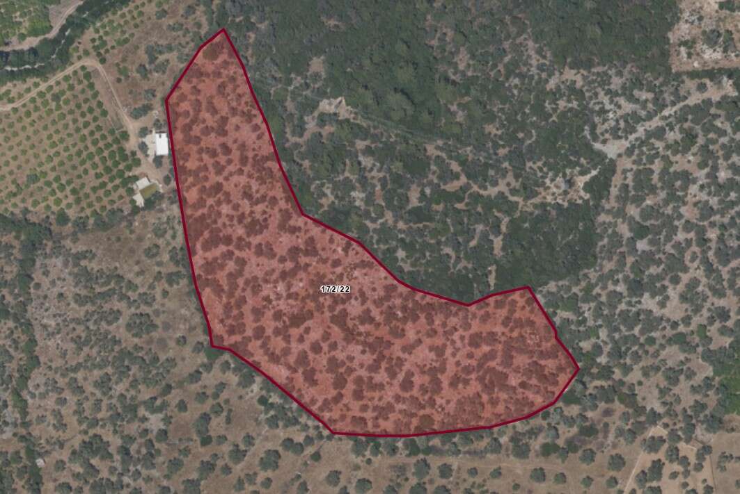 whatsapp-image-2025-12-12-at-15-59-48