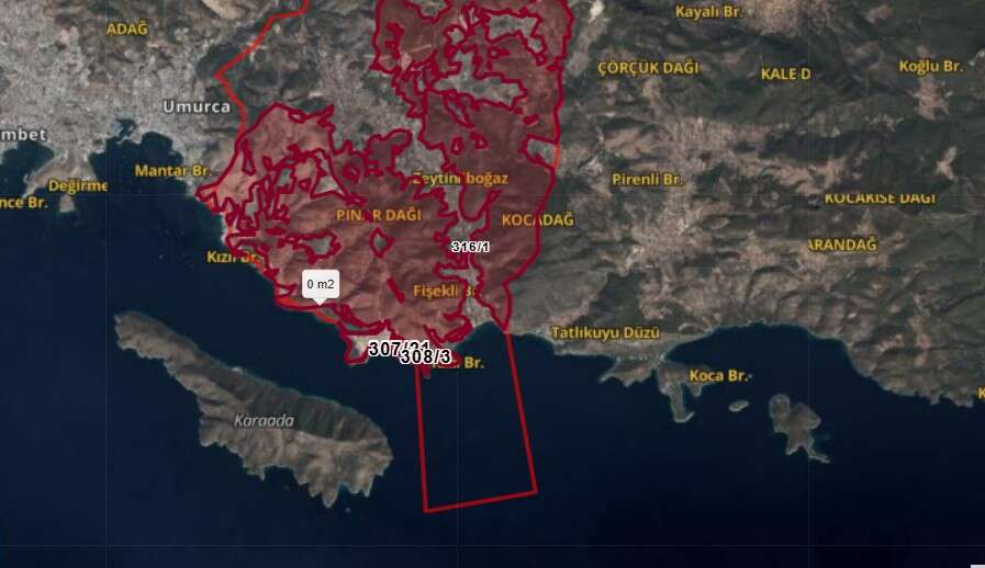 whatsapp-image-2025-12-12-at-15-59-49-1