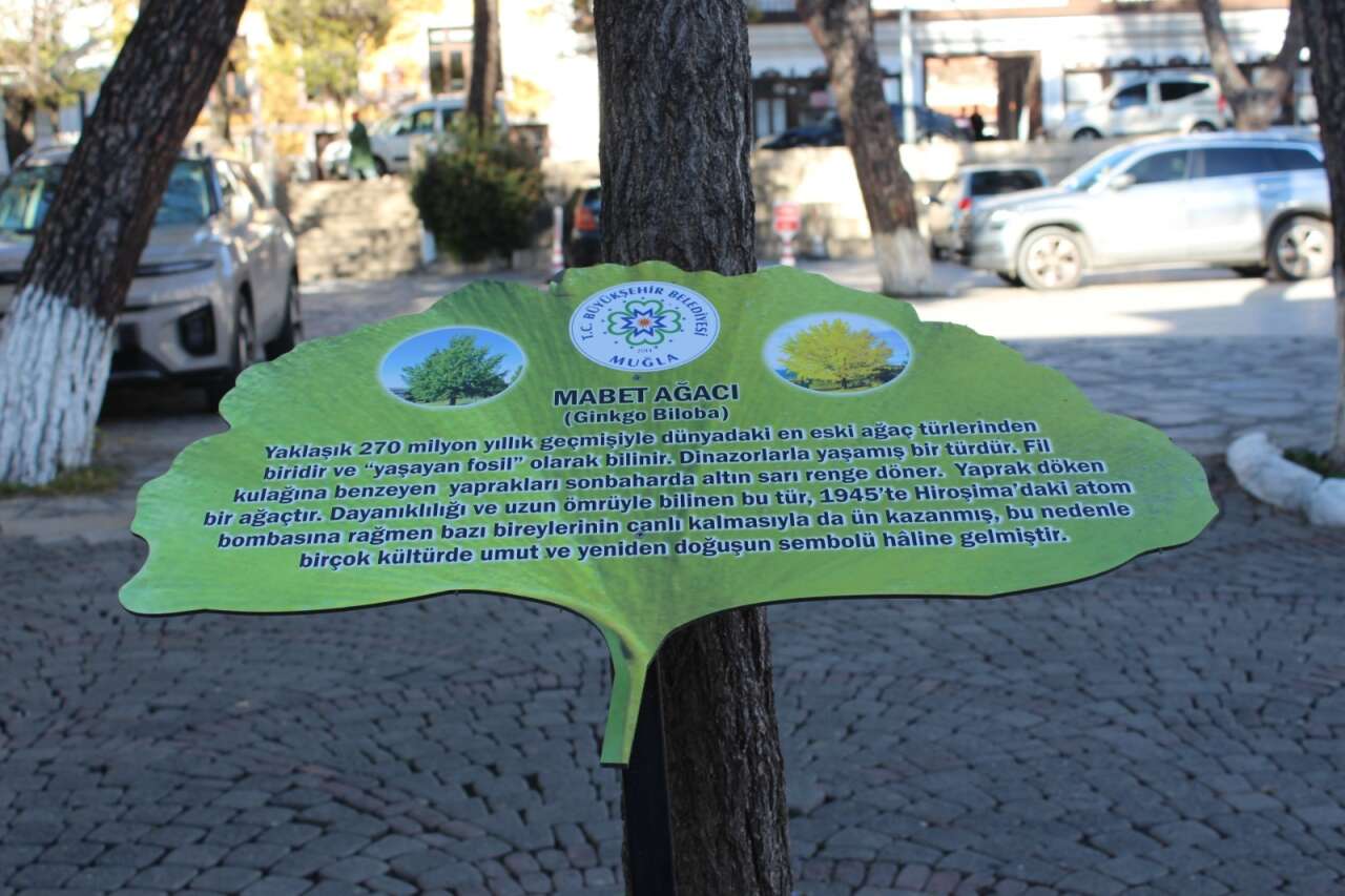 whatsapp-image-2025-12-12-at-16-09-02