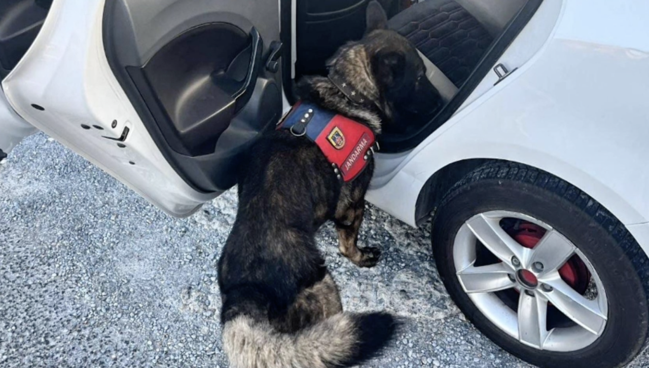 ekran-resmi-2025-12-15-13-05-32