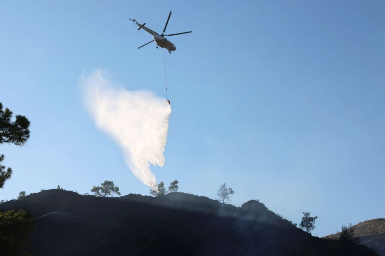 whatsapp-image-2025-12-17-at-09-43-53