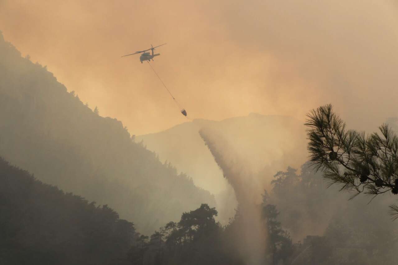 whatsapp-image-2025-12-17-at-09-43-54-1