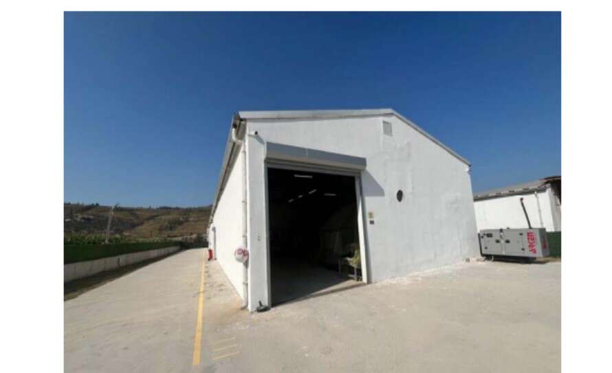 whatsapp-image-2025-12-17-at-09-57-49