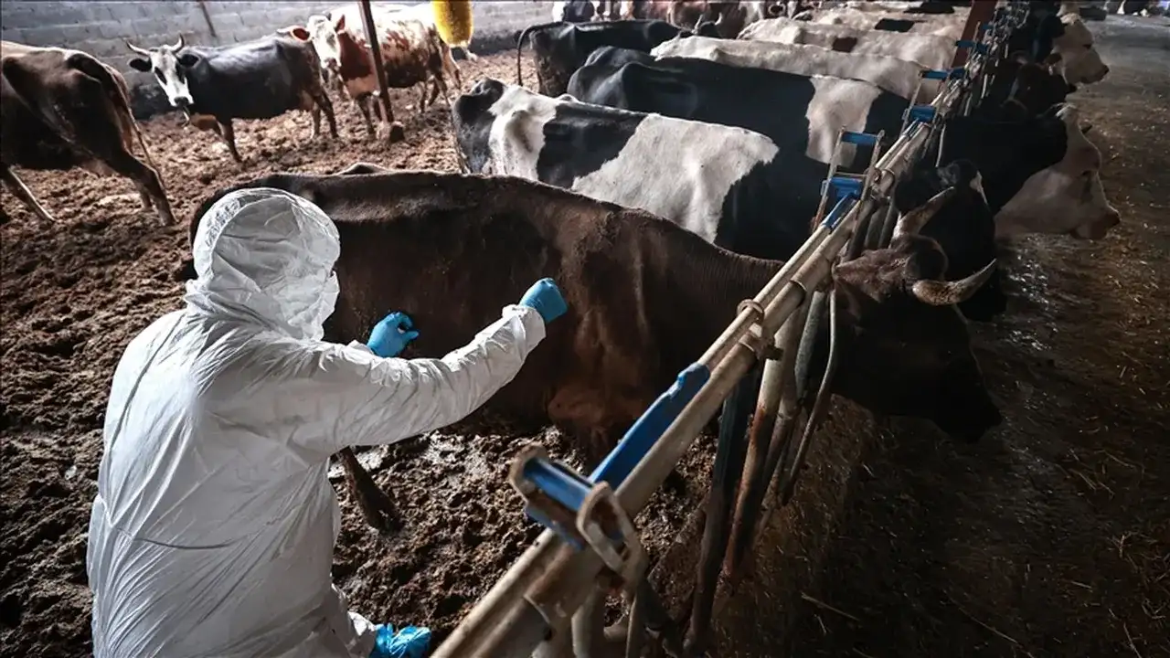 turkiyede-sap-kabusu-suruyor-sakarya-karasuda-37-mahallede-karantina-basladi-3271663-202512192032-3