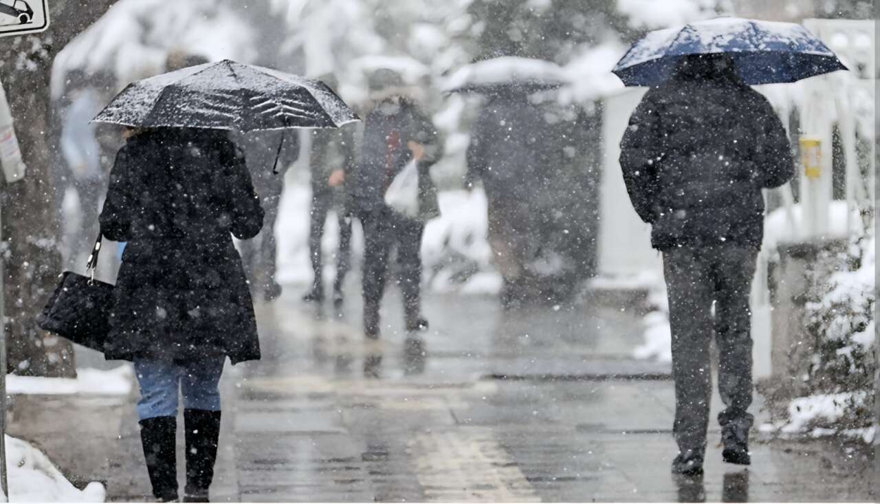 whatsapp-image-2025-12-19-at-20-07-07