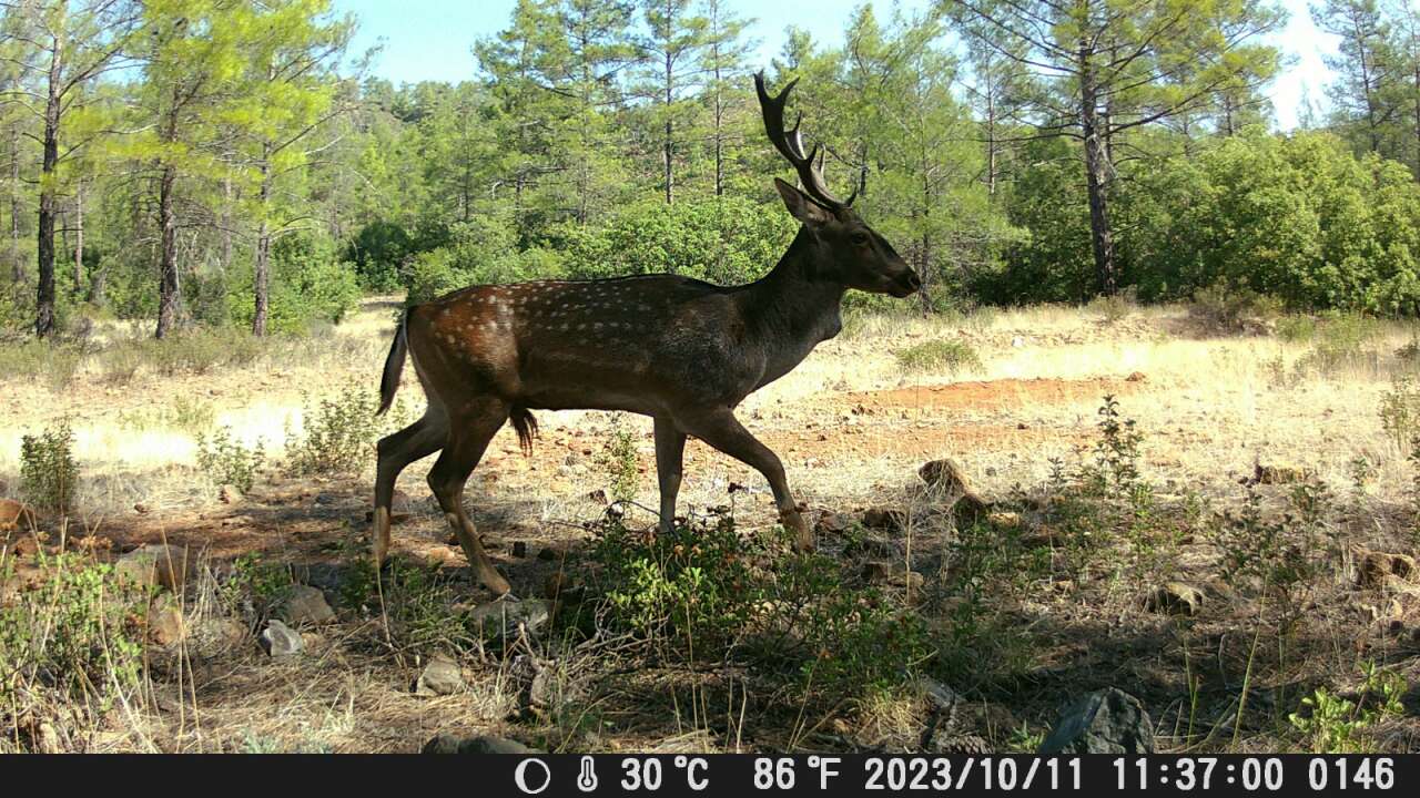 whatsapp-image-2025-12-20-at-11-15-35-1