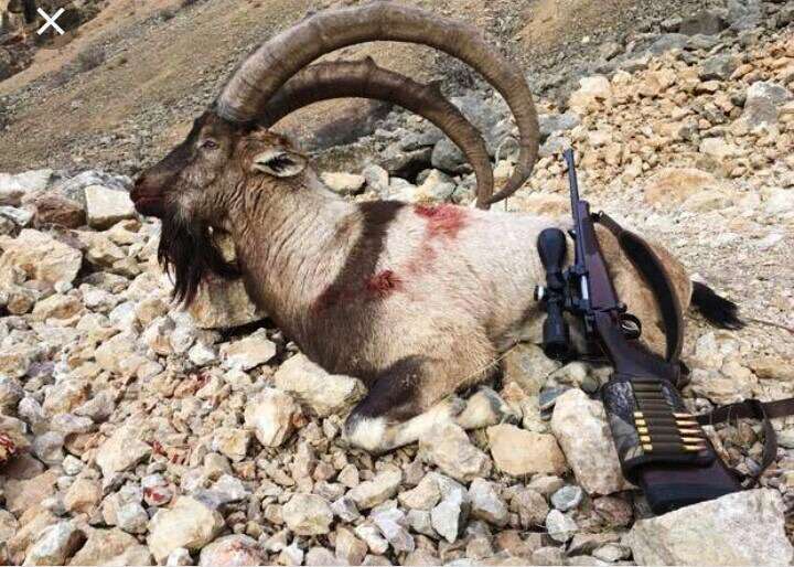 whatsapp-image-2025-12-20-at-11-15-38-1