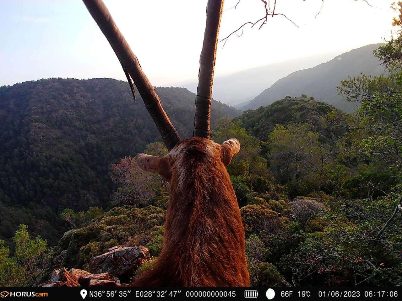 whatsapp-image-2025-12-20-at-11-15-39