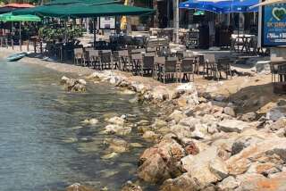 whatsapp-image-2025-12-21-at-01-16-19