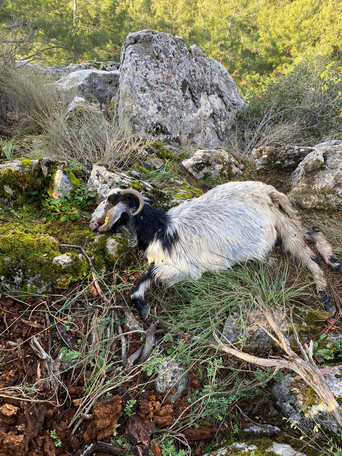 whatsapp-image-2025-12-24-at-16-14-11