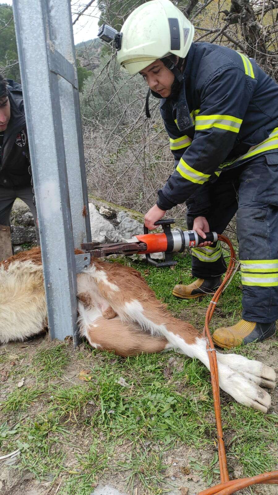 whatsapp-image-2025-12-24-at-17-46-58