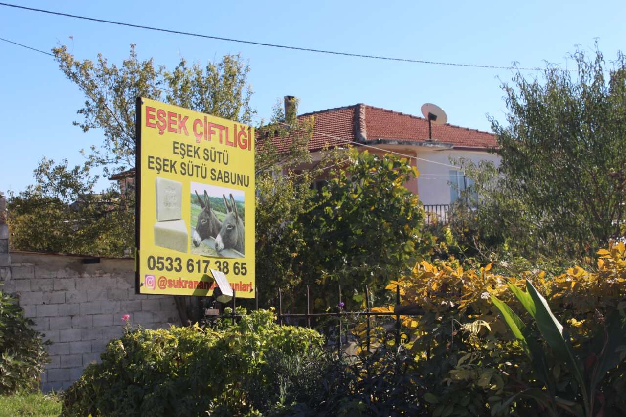 whatsapp-image-2026-01-01-at-13-20-26