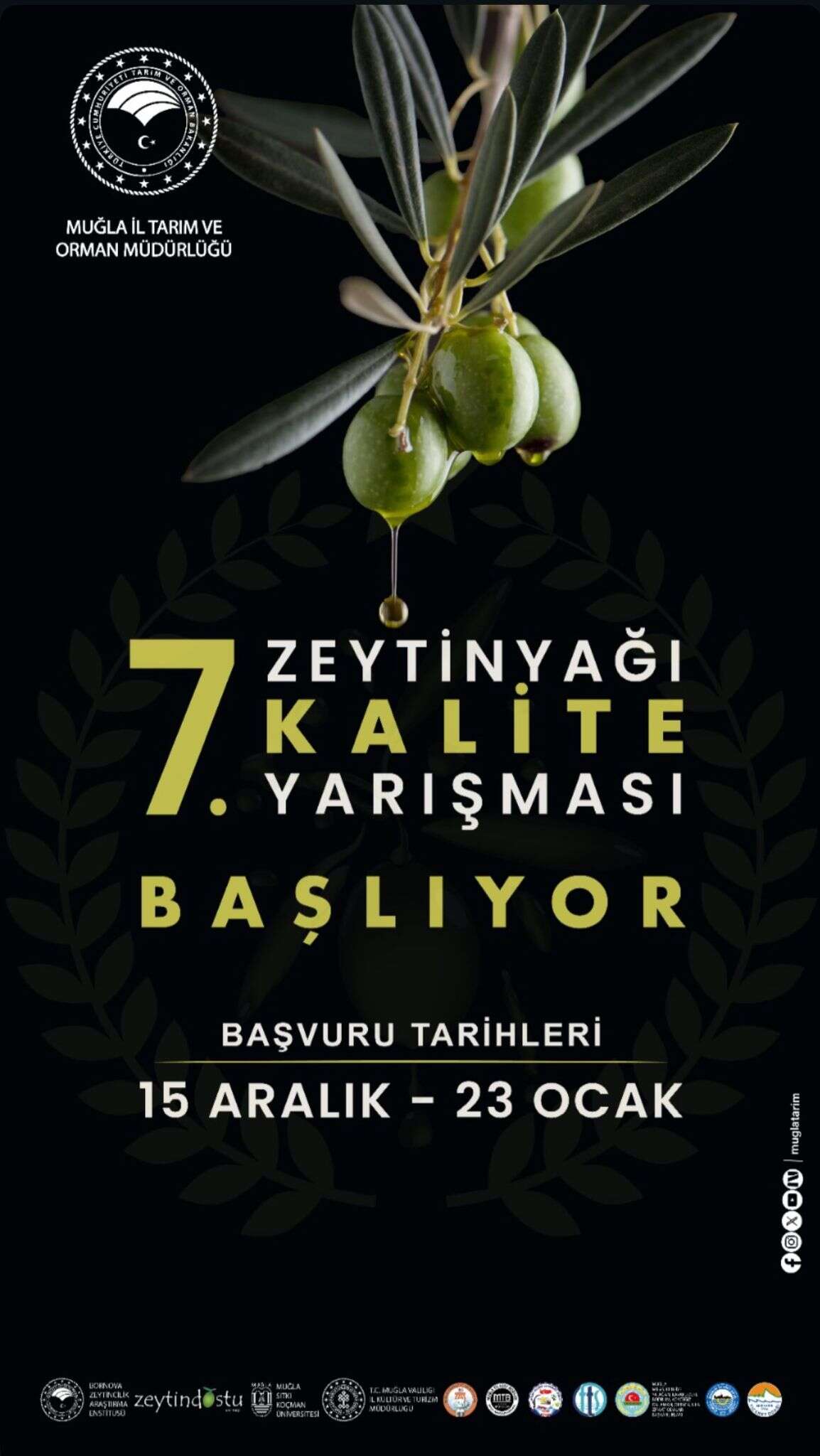 whatsapp-image-2026-01-02-at-16-23-47