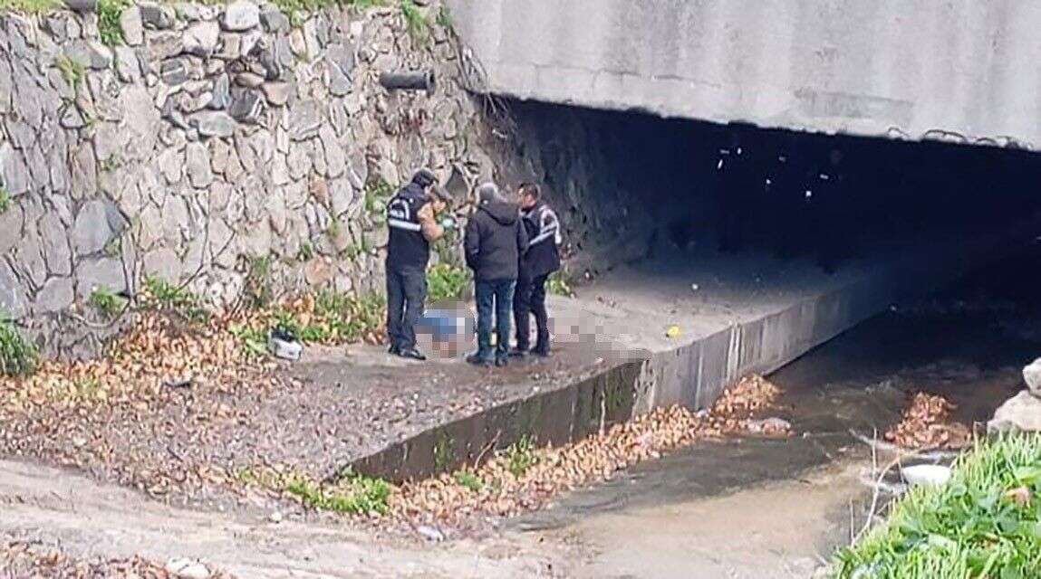 whatsapp-image-2026-01-04-at-12-07-22-1