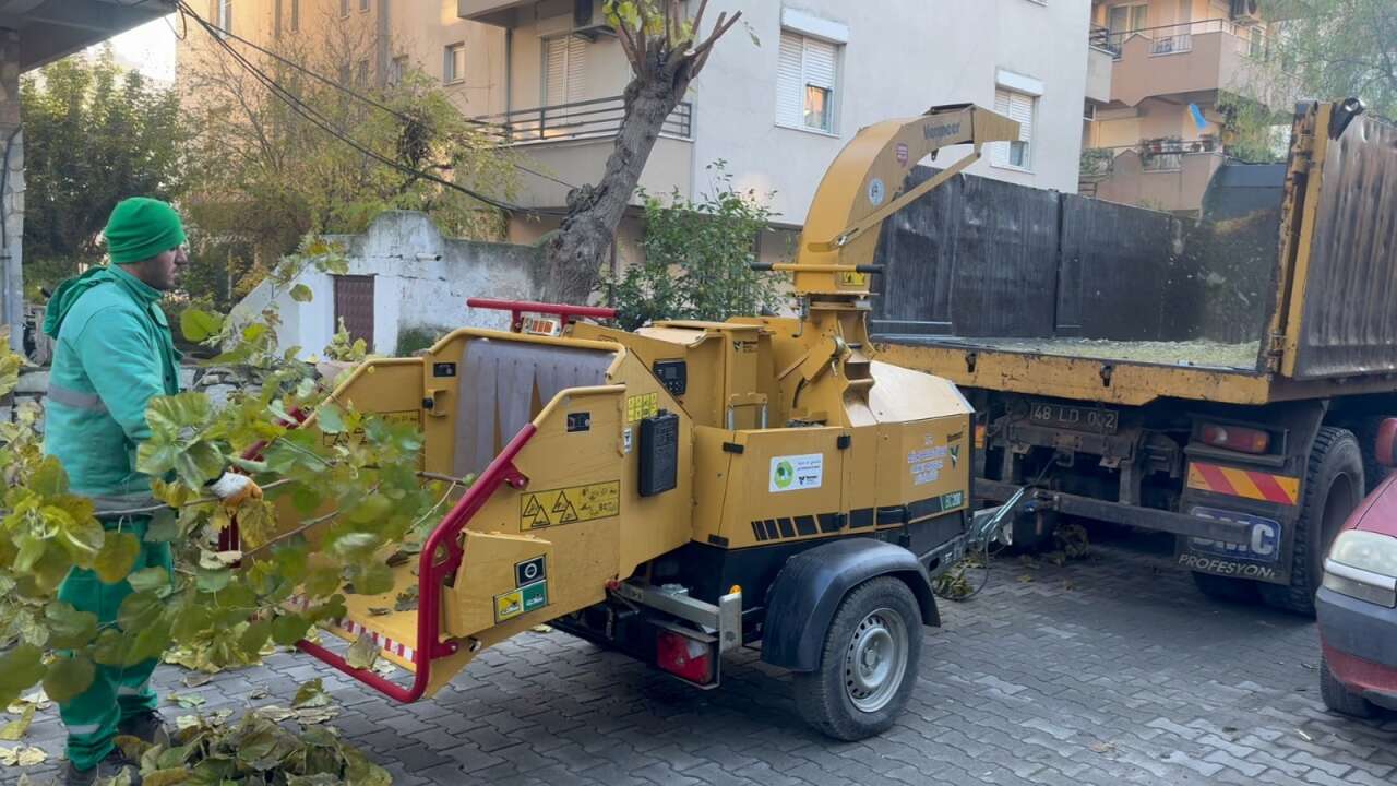 whatsapp-image-2026-01-05-at-10-23-52