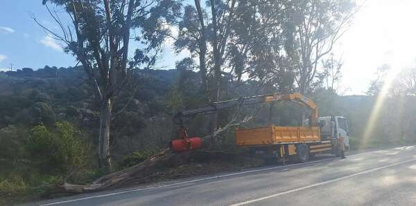 whatsapp-image-2026-01-07-at-21-53-28-1