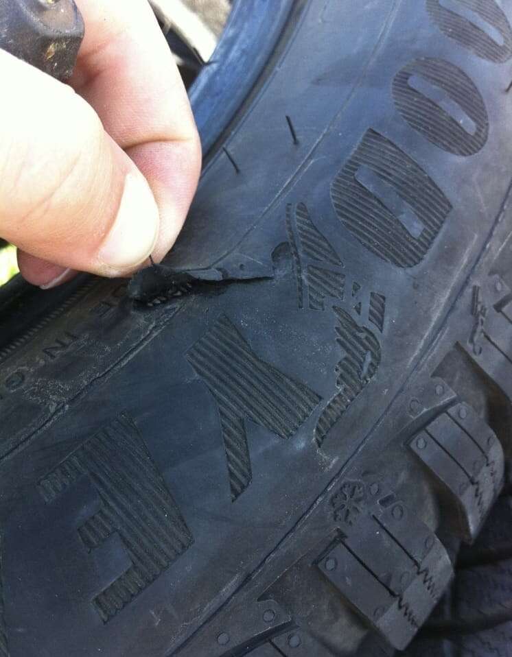 21fed568-47f3-477e-b05a-e20d4bedfff4