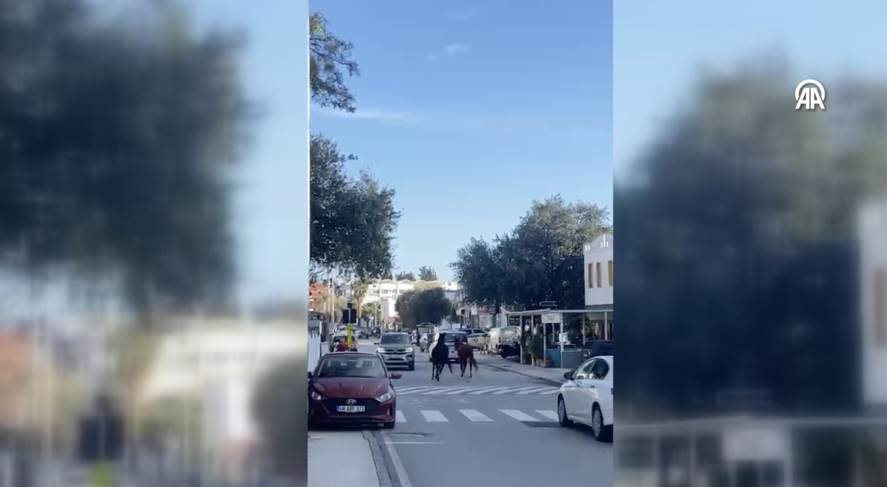 ekran-resmi-2026-01-09-21-39-57