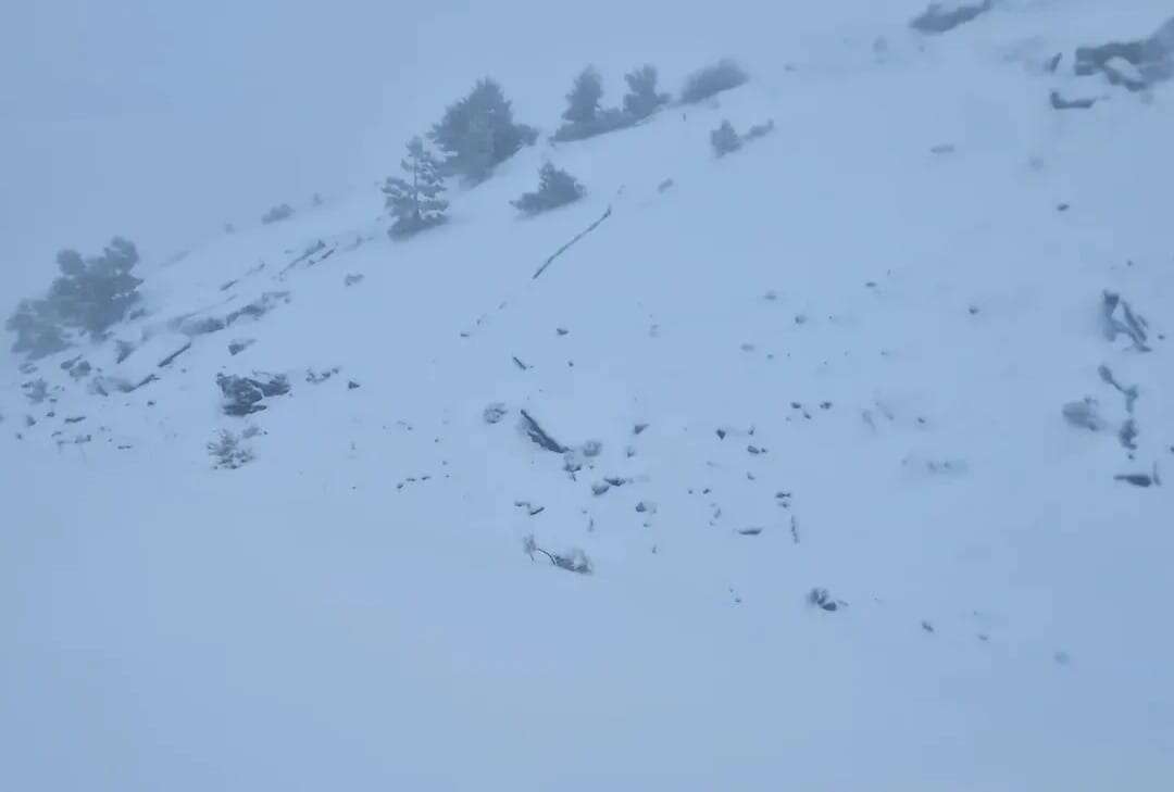 whatsapp-image-2026-01-11-at-11-52-59-1