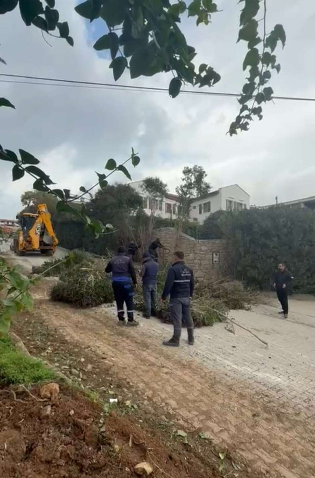 whatsapp-image-2026-01-11-at-12-59-01-1