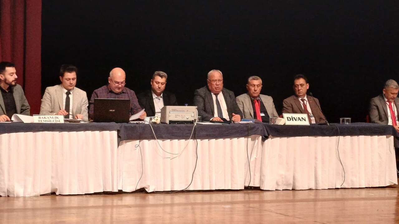 whatsapp-image-2026-01-11-at-17-56-52