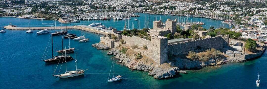 whatsapp-image-2026-01-15-at-11-59-46