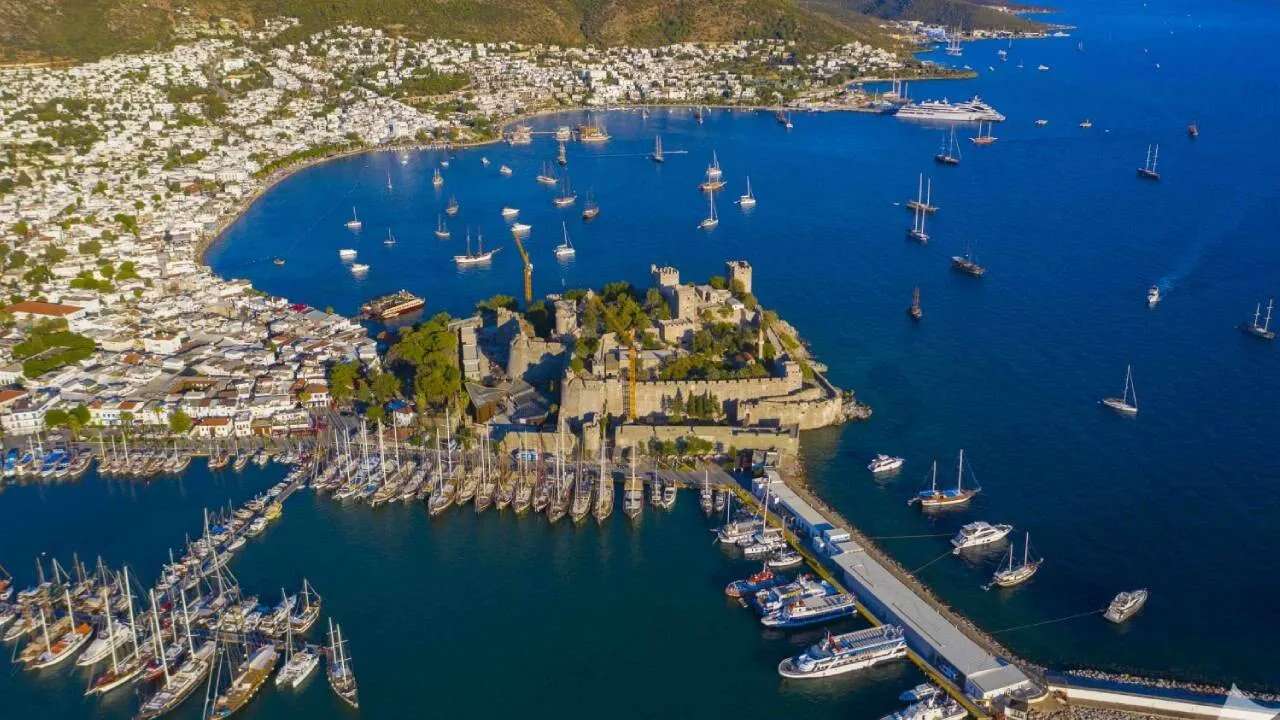 whatsapp-image-2026-01-15-at-11-59-50