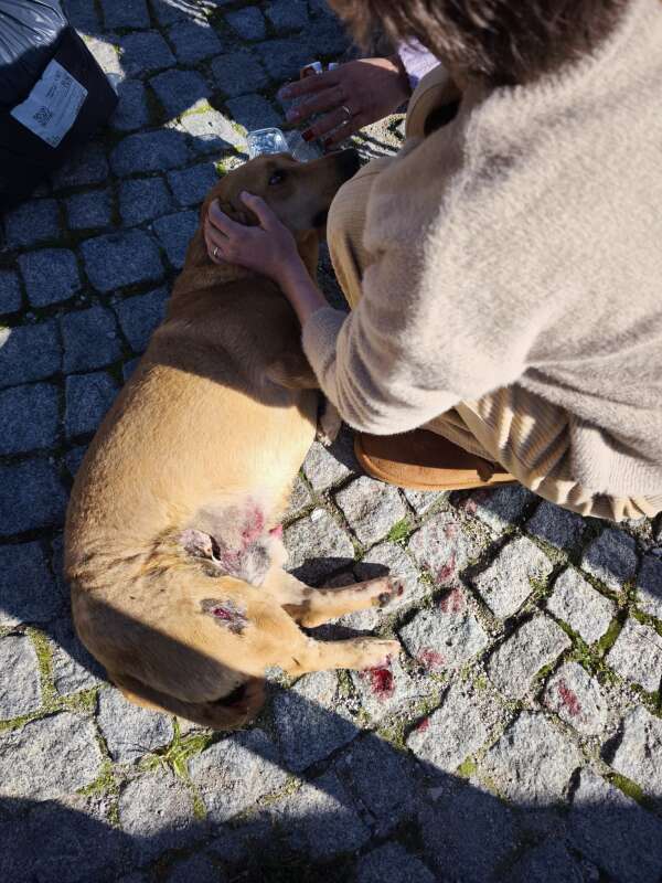 whatsapp-image-2026-01-15-at-20-02-09