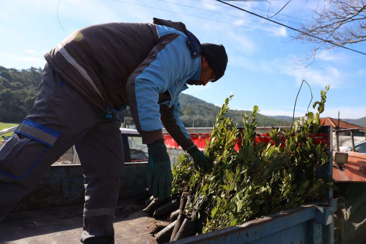 whatsapp-image-2026-01-16-at-19-53-37-1