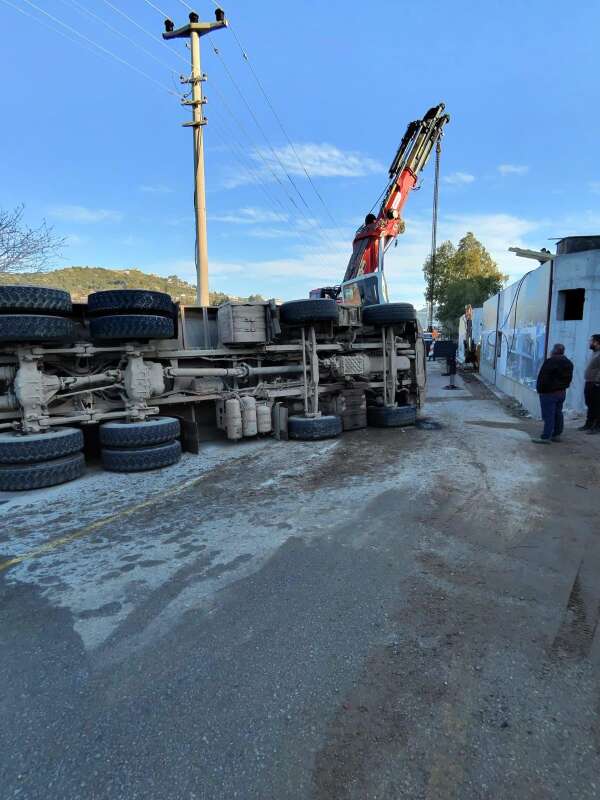 whatsapp-image-2026-01-17-at-11-17-11