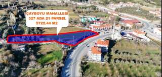 whatsapp-image-2026-01-17-at-20-56-08-1