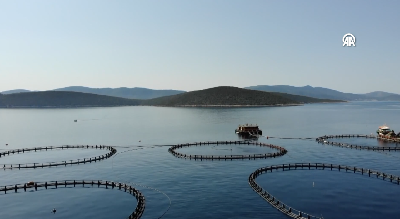 ekran-resmi-2026-01-18-16-43-42