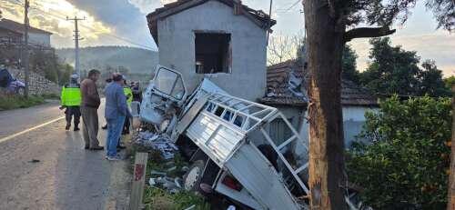 whatsapp-image-2026-01-18-at-11-11-45-1