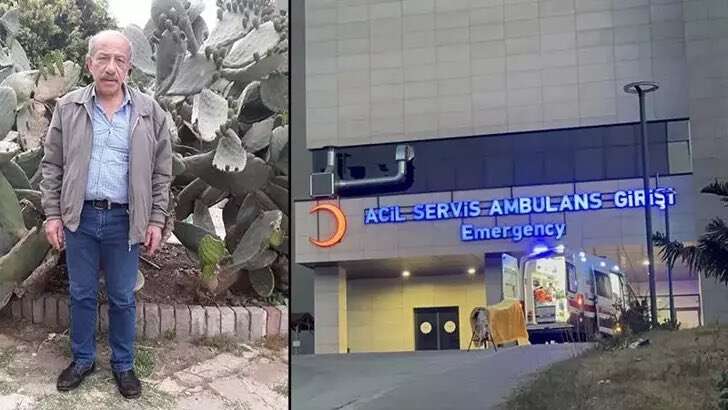 whatsapp-image-2026-01-18-at-21-54-17