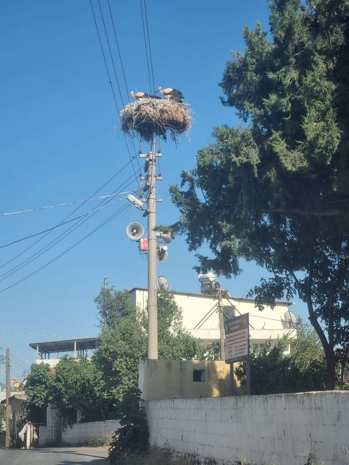 whatsapp-image-2026-01-20-at-14-40-17-1