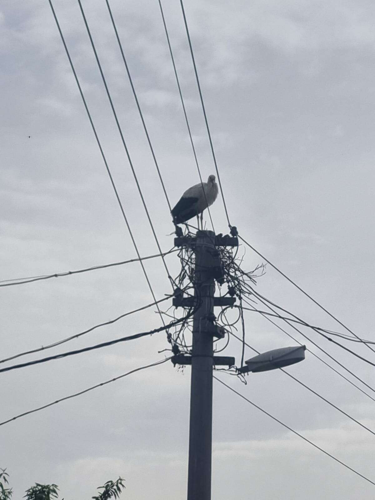 whatsapp-image-2026-01-20-at-14-40-17