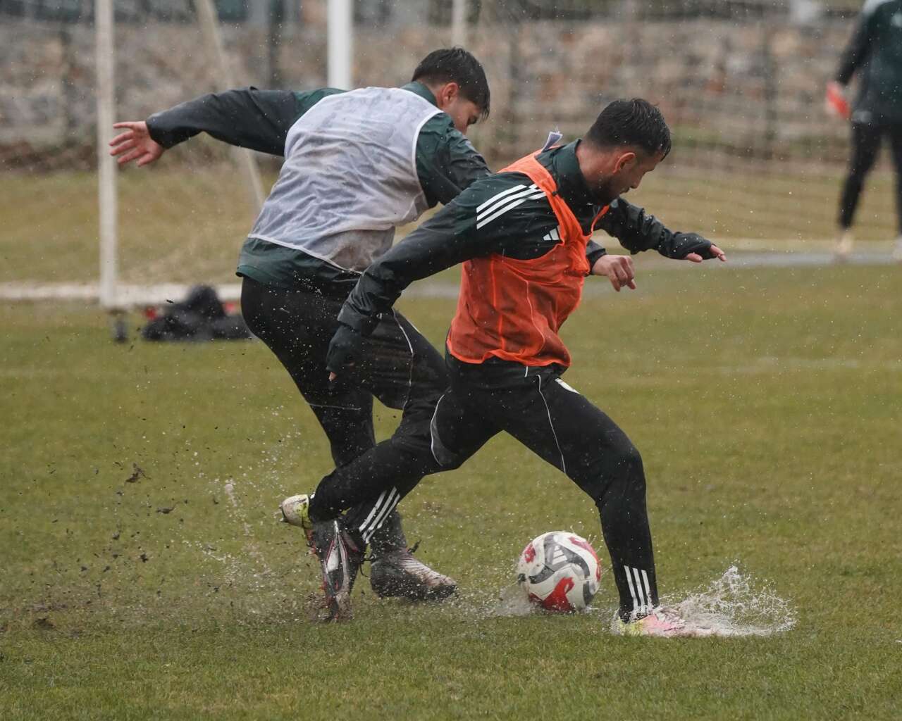 whatsapp-image-2026-01-23-at-11-28-16-1