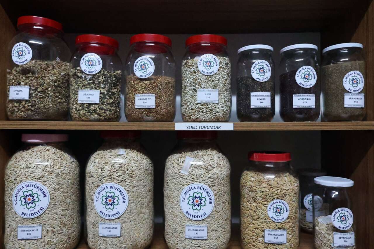 whatsapp-image-2026-01-23-at-14-10-57-1