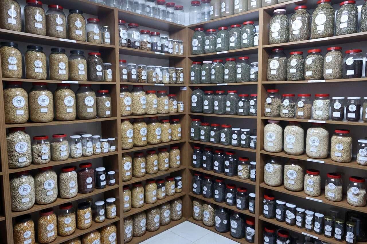 whatsapp-image-2026-01-23-at-14-10-57