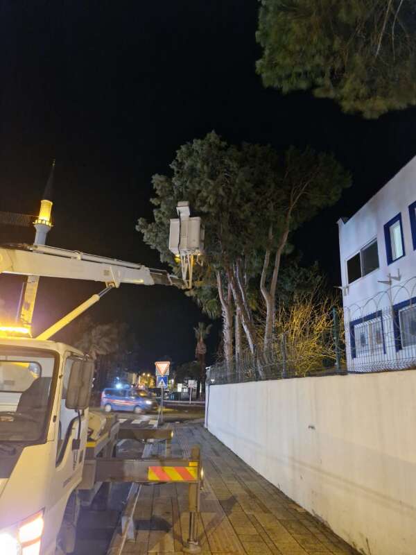 whatsapp-image-2026-01-27-at-10-29-58-1