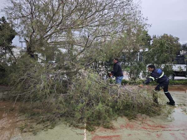 whatsapp-image-2026-01-27-at-10-29-59-1