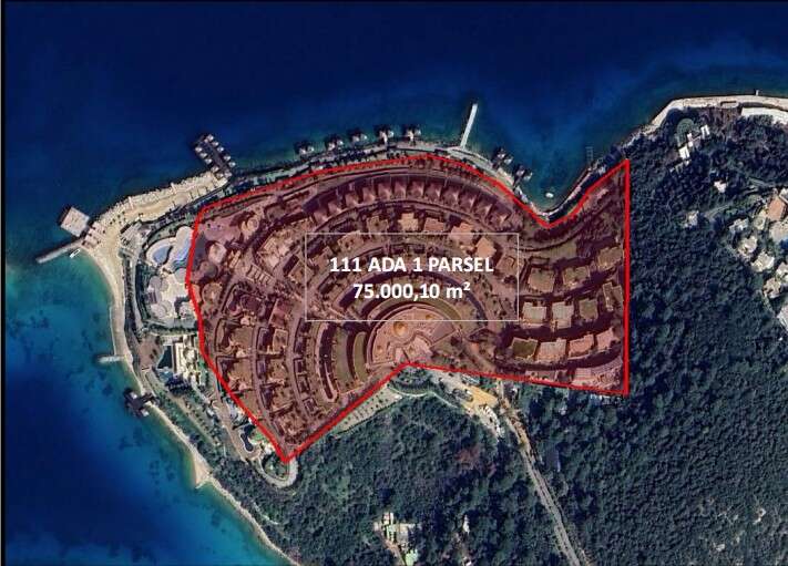 whatsapp-image-2026-01-29-at-10-10-45-1