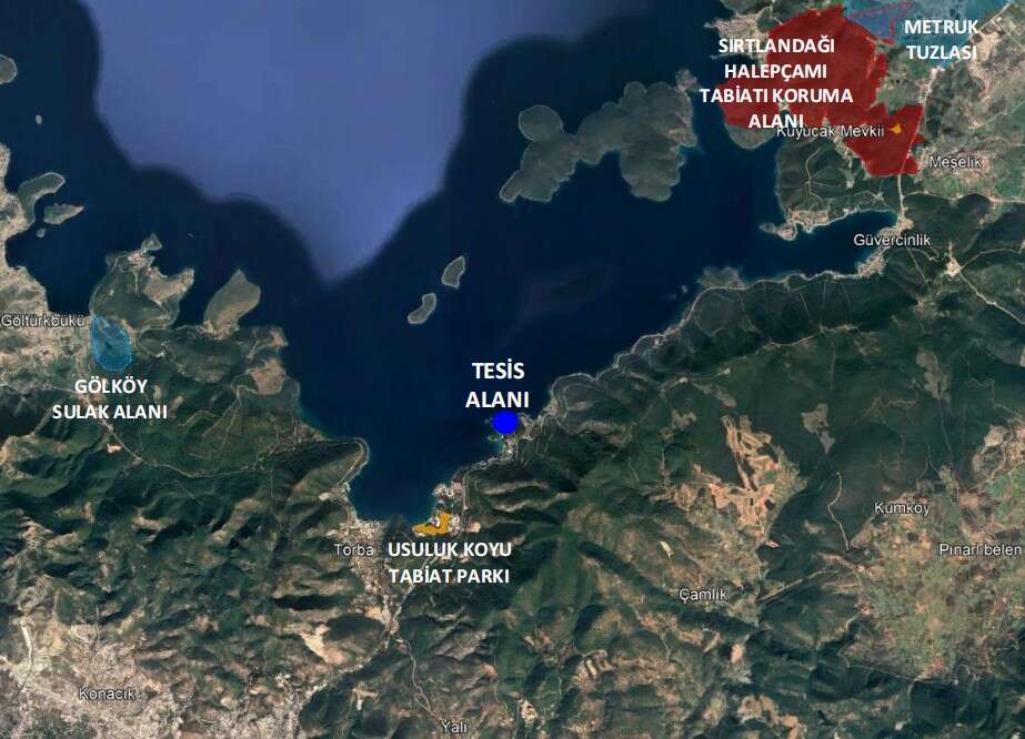 whatsapp-image-2026-01-29-at-10-10-45-3